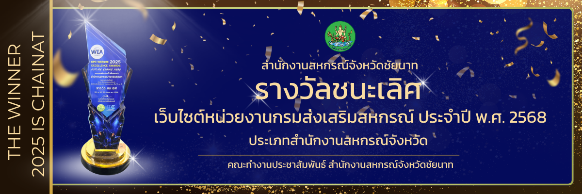 Winner Web