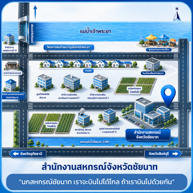 นกสหกรณ์ชัยนาท
