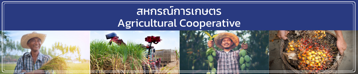 Coop type 1