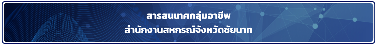 สารสนเทศกลุ่มอาชีพ ปี 2567