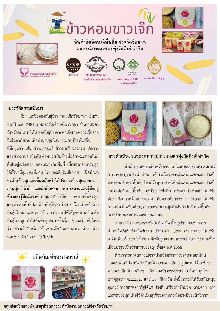 Beige Ceramic Collection Aesthetic Magazine Article Page 1