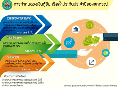 อินโฟกราฟิกบริการประชาชน พารามิเตอร์รูปภาพ 13