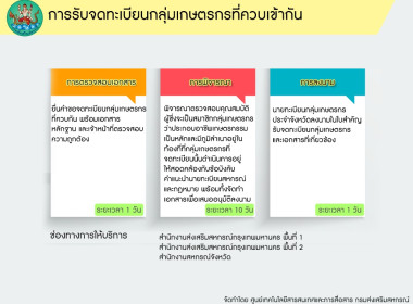 อินโฟกราฟิกบริการประชาชน พารามิเตอร์รูปภาพ 18