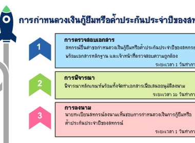 อินโฟกราฟิกบริการประชาชน พารามิเตอร์รูปภาพ 27