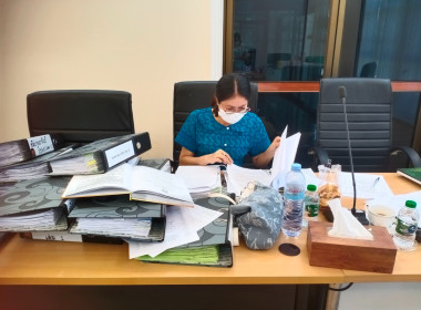 คณะผู้ตรวจการสหกรณ์ ... พารามิเตอร์รูปภาพ 4