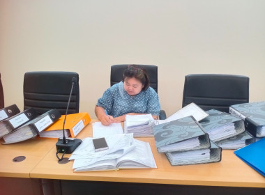 คณะผู้ตรวจการสหกรณ์ ... พารามิเตอร์รูปภาพ 3