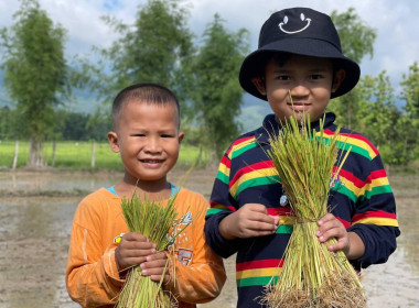 76จังหวัด76คำมั่นสัญญา SDGs พารามิเตอร์รูปภาพ 2