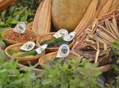 76จังหวัด76คำมั่นสัญญา SDGs พารามิเตอร์รูปภาพ 4