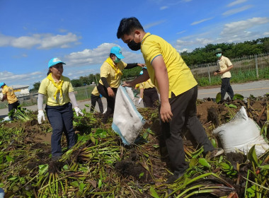 กิจกรรม Kick Off กำจัดวัชพืชและผักตบชวา ... พารามิเตอร์รูปภาพ 3