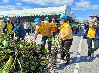 กิจกรรม Kick Off กำจัดวัชพืชและผักตบชวา ... พารามิเตอร์รูปภาพ 4