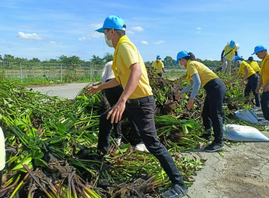 กิจกรรม Kick Off กำจัดวัชพืชและผักตบชวา ... พารามิเตอร์รูปภาพ 6