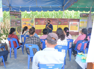 กพส.ร่วมงานวันรณรงค์เพื่อควบคุมและป้องกันการแพร่ระบาดของโรคใบด่างมันสำปะหลัง ... พารามิเตอร์รูปภาพ 4