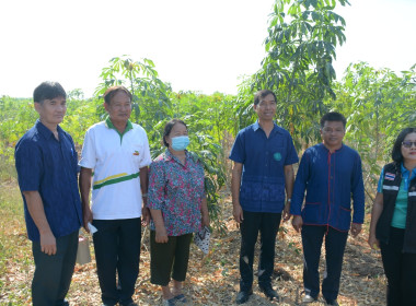 กพส.ร่วมงานวันรณรงค์เพื่อควบคุมและป้องกันการแพร่ระบาดของโรคใบด่างมันสำปะหลัง ... พารามิเตอร์รูปภาพ 3