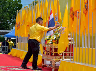 ร่วมกิจกรรมเดิน วิ่ง ปั่น ... พารามิเตอร์รูปภาพ 2