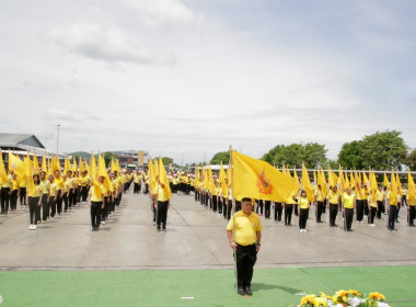 ร่วมกิจกรรมเดิน วิ่ง ปั่น ... พารามิเตอร์รูปภาพ 10