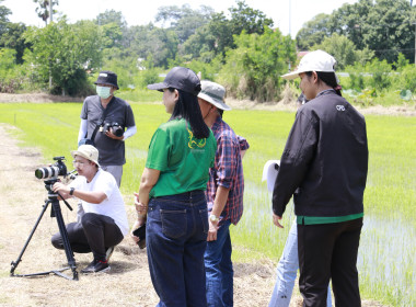 สำนักงานสหกรณ์จังหวัดชัยนาท ร่วมจัดทำสกู๊ปข่าวประชาสัมพันธ์ ... พารามิเตอร์รูปภาพ 6