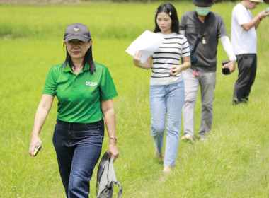 สำนักงานสหกรณ์จังหวัดชัยนาท ร่วมจัดทำสกู๊ปข่าวประชาสัมพันธ์ ... พารามิเตอร์รูปภาพ 7