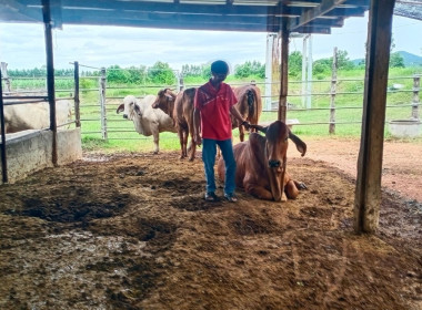 การดำเนินงานตามโครงการแก้ไขปัญหาหนี้และพัฒนาคุณภาพชีวิตของสมาชิกสหกรณ์และกลุ่มเกษตรกร ปี 2566 แล ะ67 ของสหกรณ์ในจังหวัดชัยนาท ... พารามิเตอร์รูปภาพ 9