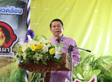 พิธีเปิดเวทีรณรงค์สร้างการรับรู้และการเรียนรู้การเกษตรที่เป็นมิตรกับสิ่งแวดล้อม (Green Day) ... พารามิเตอร์รูปภาพ 1