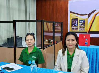 ดอบรมโครงการเพิ่มประสิทธิภาพด้านการผลิตและการขนส่ง... พารามิเตอร์รูปภาพ 8