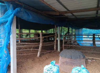 สำนักงานสหกรณ์จังหวัดชัยนาท ... พารามิเตอร์รูปภาพ 2