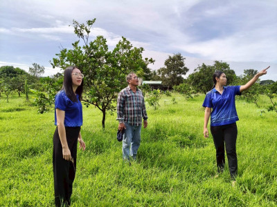 สหกรณ์จังหวัดชัยนาทติดตามการใช้เงินกองทุนพัฒนาสหกรณ์ ... พารามิเตอร์รูปภาพ 1