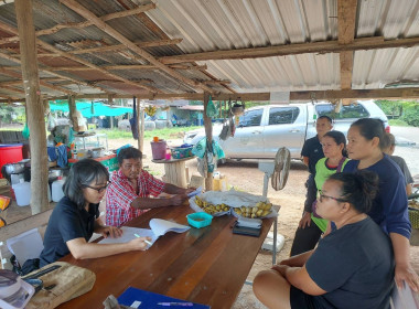 สหกรณ์จังหวัดชัยนาทร่วมประชุมส่งเสริมและพัฒนาศักยภาพกลุ่มเกษตรกรเลี้ยงสัตว์วังหมัน ... พารามิเตอร์รูปภาพ 4