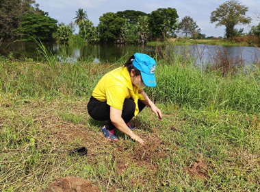 กิจกรรมจิตอาสาพัฒนาเนื่องในโอกาสวันคล้ายวันพระบรมราชสมภพพระบาทสมเด็จพระบรมชนกาธิเบศร มหาภูมิพลอดุลยเดชมหาราช บรมนาถบพิตร ... พารามิเตอร์รูปภาพ 3