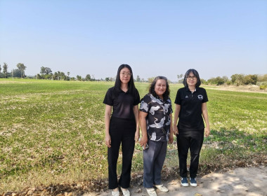 สำนักงานสหกรณ์จังหวัดชัยนาท ... พารามิเตอร์รูปภาพ 6