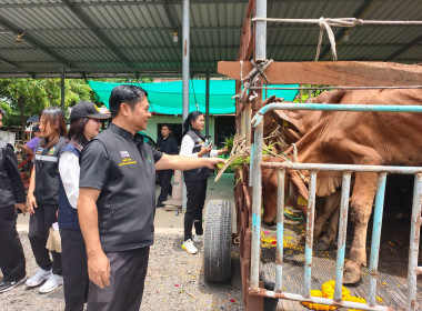 สำนักงานสหกรณ์จังหวัดชัยนาท ... พารามิเตอร์รูปภาพ 5