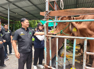 สำนักงานสหกรณ์จังหวัดชัยนาท ... พารามิเตอร์รูปภาพ 7