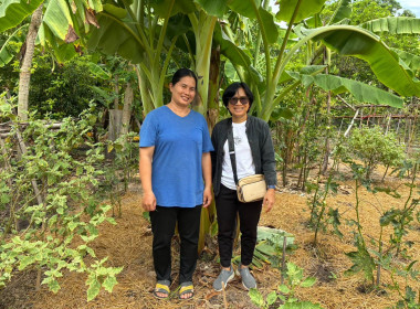 สำนักงานสหกรณ์จังหวัดชัยนาท ... พารามิเตอร์รูปภาพ 3