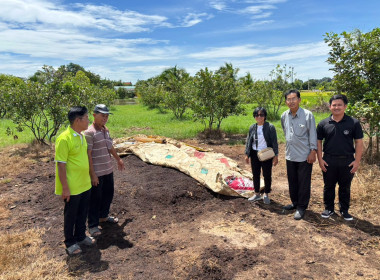 สำนักงานสหกรณ์จังหวัดชัยนาท ... พารามิเตอร์รูปภาพ 4